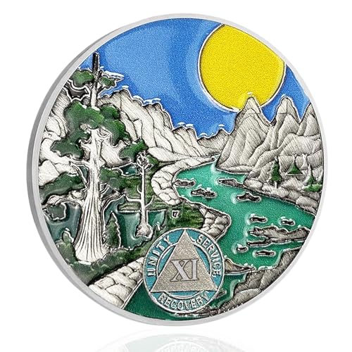 11 Year Sobriety Coin for Men and Women