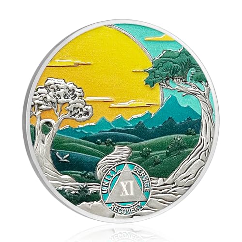 CHURYUML 11-Year Sobriety Coin - Nature Landscape Recovery Medallion for AA Gifts